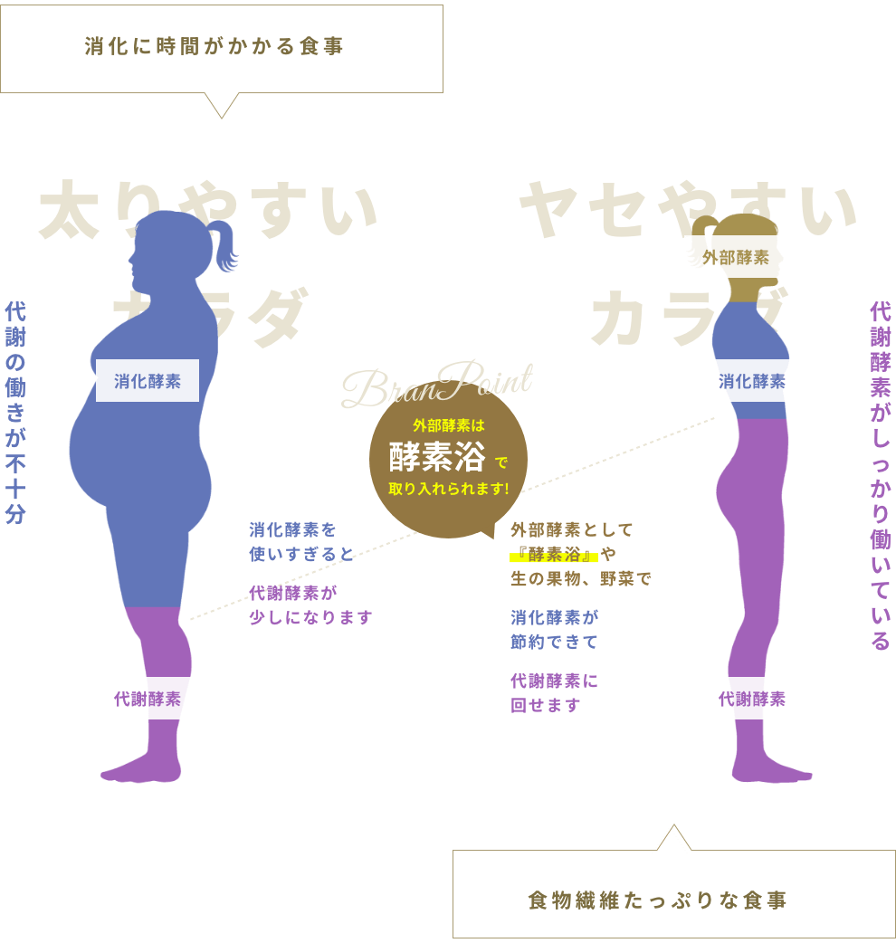 太りやすいカラダ 代謝の働きが不十分 消化酵素を使いすぎると代謝酵素が少しになります ヤセやすいカラダ 代謝酵素がしっかり働いている 外部酵素として『酵素浴』や生の果物、野菜で消化酵素が節約できて代謝酵素に回せます 外部酵素は酵素浴で取り入れられます!