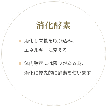 消化酵素 消化し栄養を取り込み、エネルギーに変える体内酵素には限りがある為、消化に優先的に酵素を使います